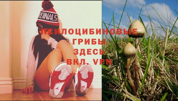 PSILOCYBIN Белоозёрский