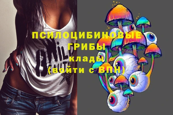 2c-b Белокуриха