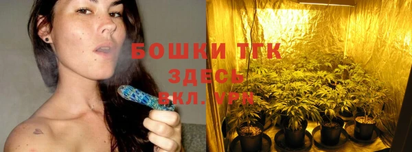 PSILOCYBIN Белоозёрский