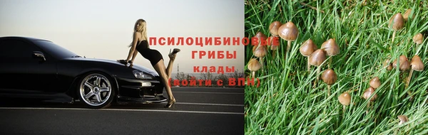PSILOCYBIN Белоозёрский